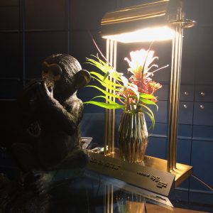 Provocateur Hotel Berlin Berlim Alemanha Germany Deutschland