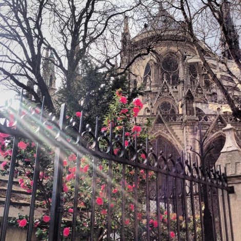 Paris Notre Dame Ile de la Cité França France