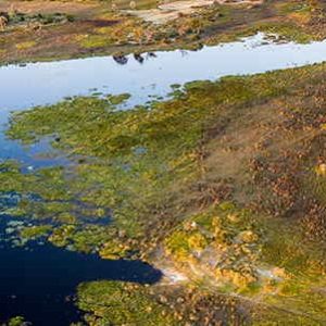 Sanctuary's Chief Camp Moremi Game Reserve Okavango Delta Botswana Africa Safari Lodge