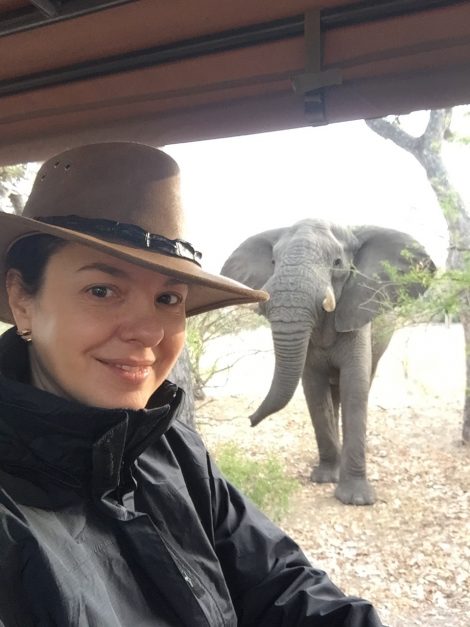 Sanctuary's Chief Camp Moremi Game Reserve Okavango Delta Botswana Africa Safari Lodge