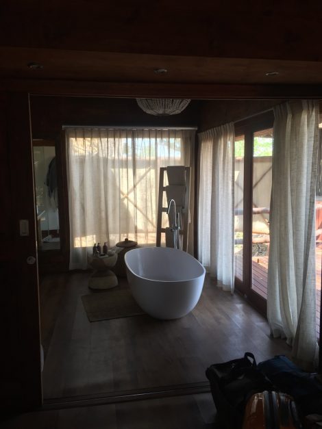 Sanctuary's Chief Camp Moremi Game Reserve Okavango Delta Botswana Africa Safari Lodge