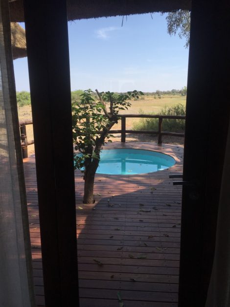 Sanctuary's Chief Camp Moremi Game Reserve Okavango Delta Botswana Africa Safari Lodge