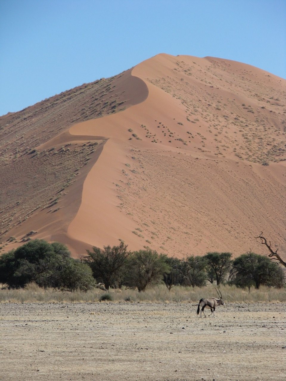 Namibia Africa Southern Africa Sossusvlei Namib Naukluft National Park