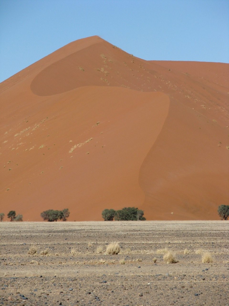 Namibia Africa Southern Africa Sossusvlei Namib Naukluft National Park