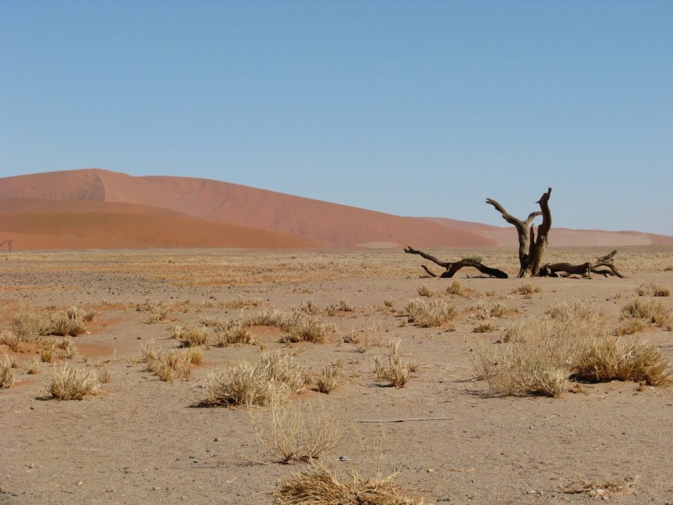 Namibia Africa Southern Africa Sossusvlei Namib Naukluft National Park