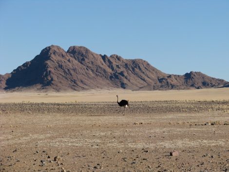 Namibia Africa Southern Africa Sossusvlei Namib Naukluft National Park