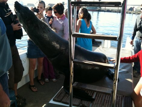 Swakopmund Namibia Africa Southern Africa Sossusvlei Namib Naukluft National Park