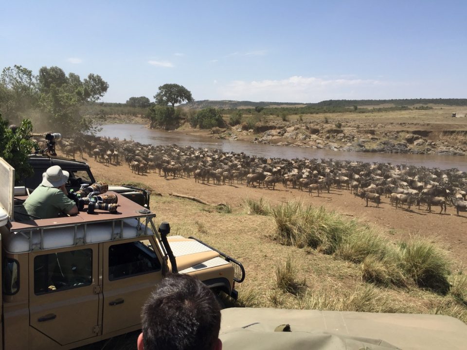 Migration Kenya Maasai Mara