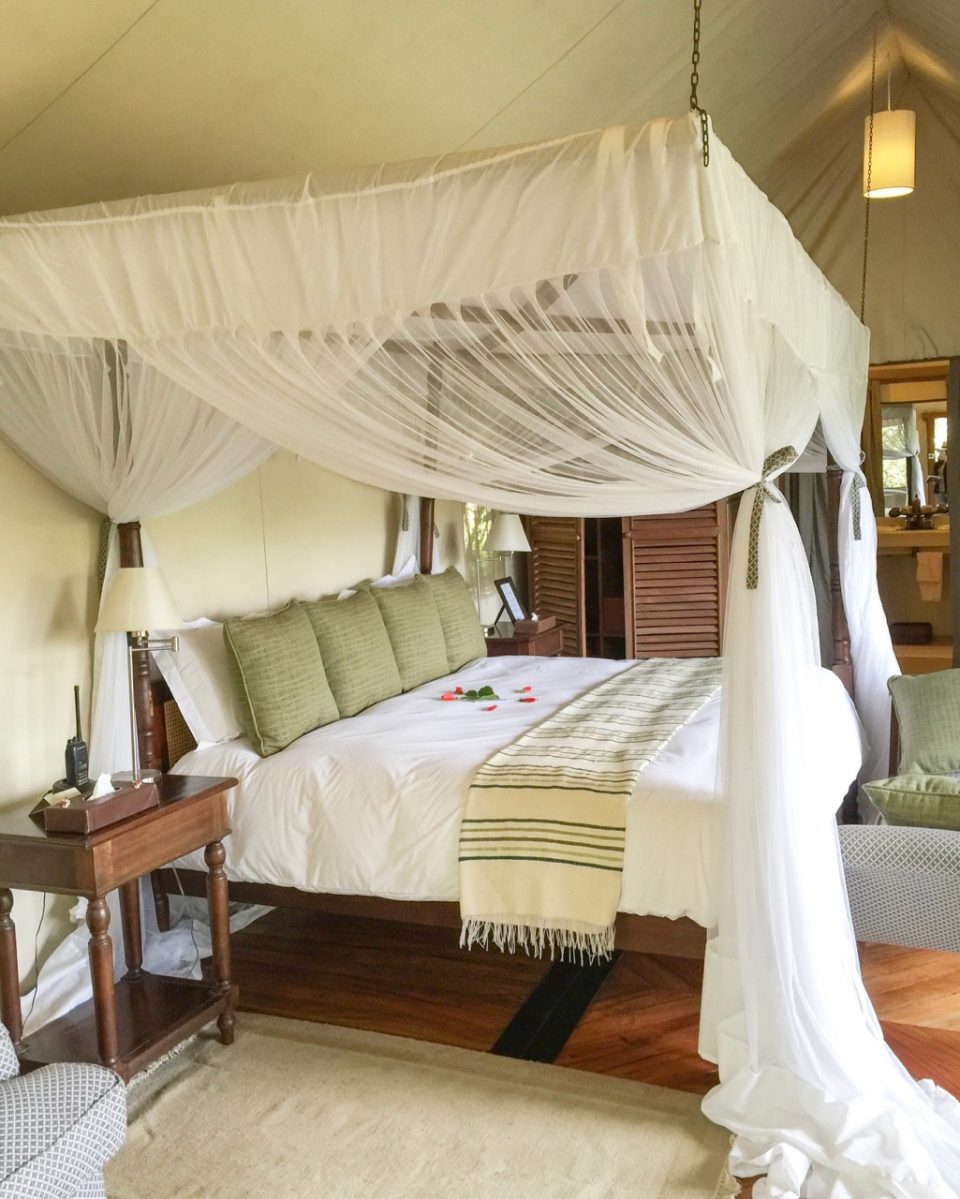 Africa Safari Kenya Maasai Mara Sanctuary Olonana